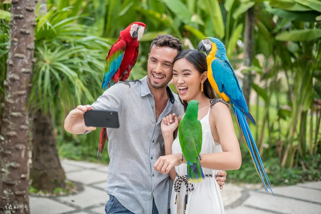 3 Best Ubud Activities to Book in Advance: Bird Park, Batik Class & Jungle Swing